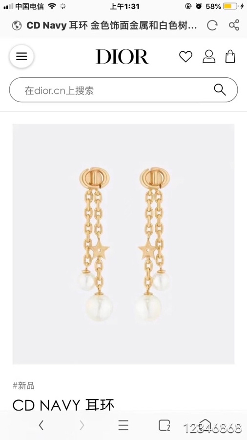 Christian Dior Earrings